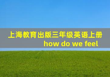 上海教育出版三年级英语上册 how do we feel